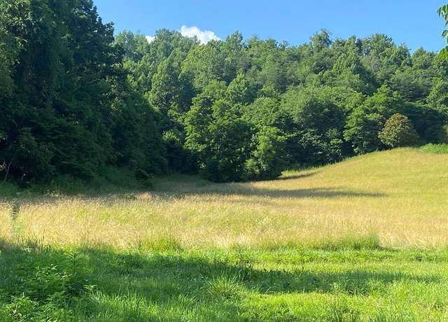Property at 0 Rich Valley (9.23 Ac) Rd Unit 1A, Abingdon, VA 24210