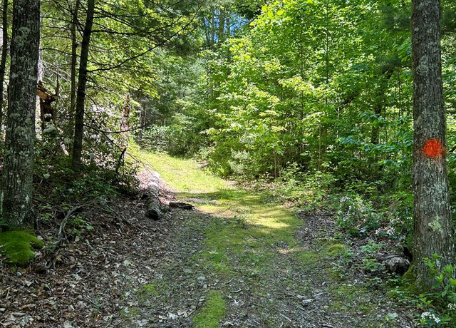 Property at TBD Widener Valley Rd #0, Glade Spring, VA 24340