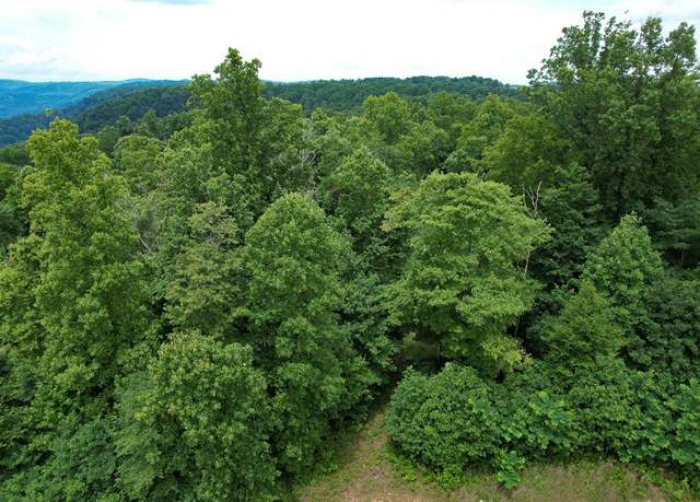 Property at TBD Pheasant Chase Unit 3812 81 T, Ararat, VA 24053