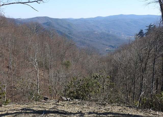 Property at Lot # 23 Fishers Peak Vw #23, Ennice, VA 28623