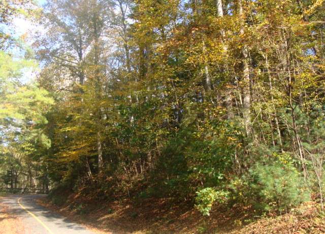 Property at TBD Otter Creek Trl Unit F1, Fancy Gap, VA 24328