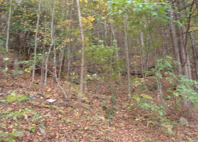 Property at TBD Cascade Trl #64, Fancy Gap, VA 24328