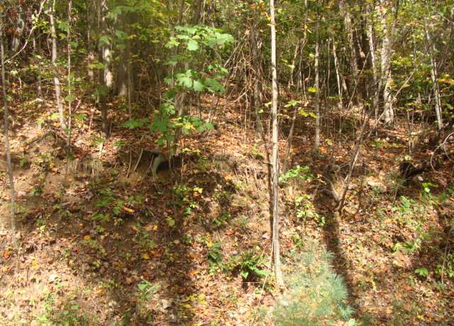 Property at TBD Old Wagon Trl #12, Fancy Gap, VA 24328