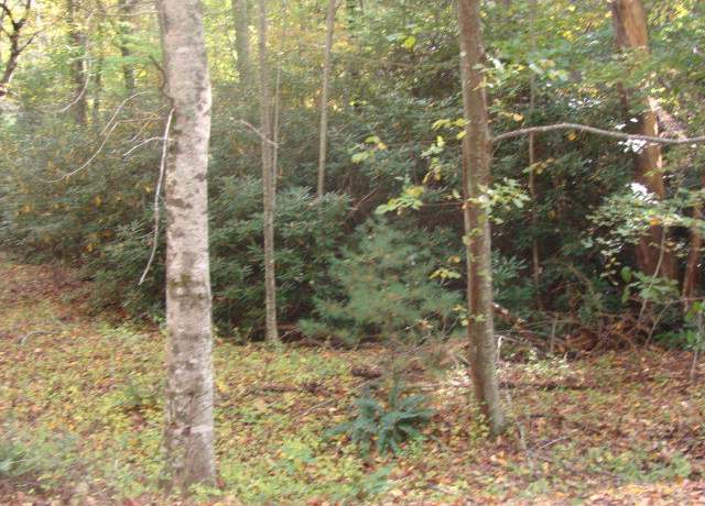 Property at TBD Beaver Trl #25, Fancy Gap, VA 24328