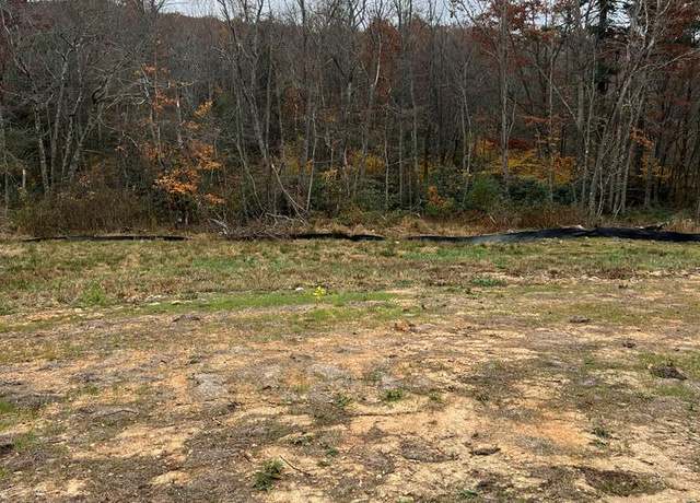 Property at 209 Holly Ln #358, Fancy Gap, VA 24328