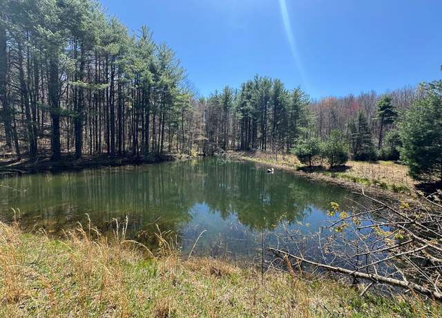 Property at Tbd Cherry Creek Rd #75, Meadows Of Dan, VA 24120
