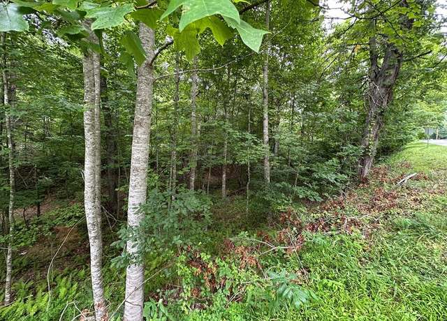 Property at 0 Fries Road/foxfire Ln Unit n/a, Galax, VA 24333