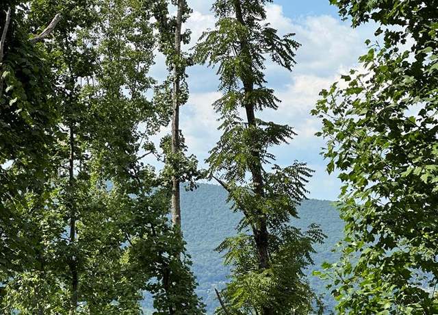 Property at TBD Blankenship Mountain Rd #0, Narrows, VA 24124