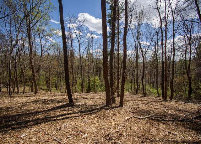 Property at Tract B Penn Unit B, Floyd, VA 24091