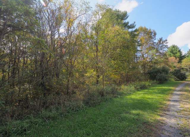 Property at TBD Blue Lake Ln (lot #40) #40, Laurel Fork, VA 24352
