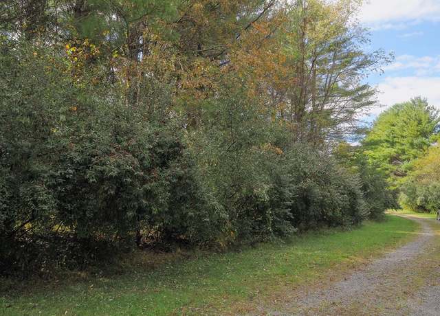 Property at TBD Blue Lake Ln (lot #36) #36, Laurel Fork, VA 24352