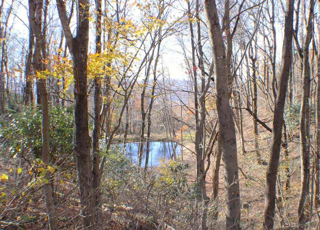 Property at 1 Gulch Rd #108, Meadows Of Dan, VA 24120