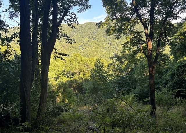 Property at TBD Veterans Rd #4, Tannersville, VA 24377