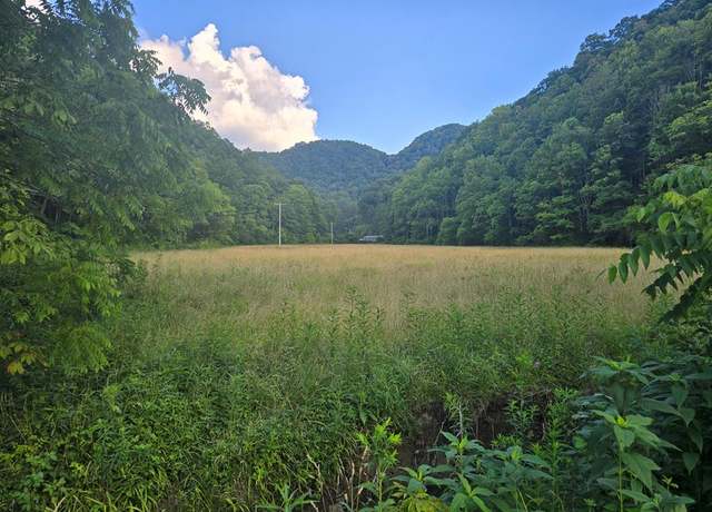 Property at TBD Lickbranch Rd #1, North Tazewell, VA 24630