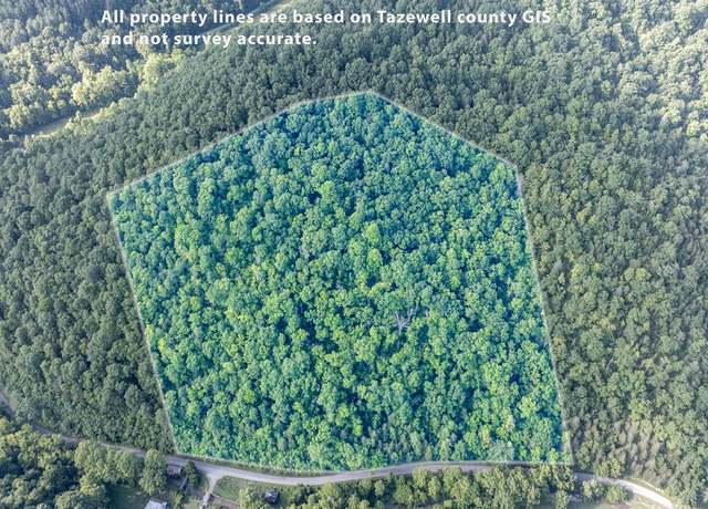 Property at TBD Dry Fork Rd #0, Cedar Bluff, VA 24609
