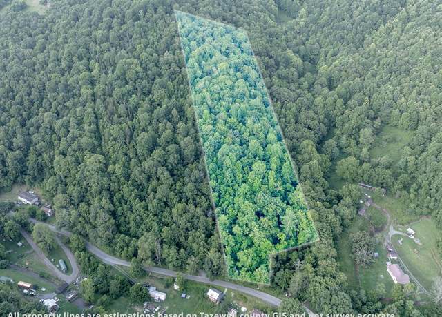 Property at TBD Dry Fork Rd #0, North Tazewell, VA 24630