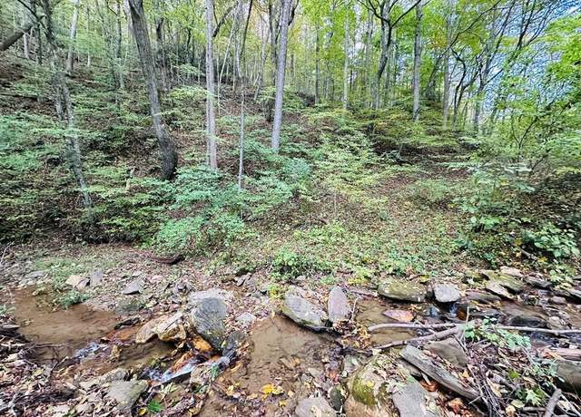 Property at TBD Seven Spgs #95, Ararat, VA 24328