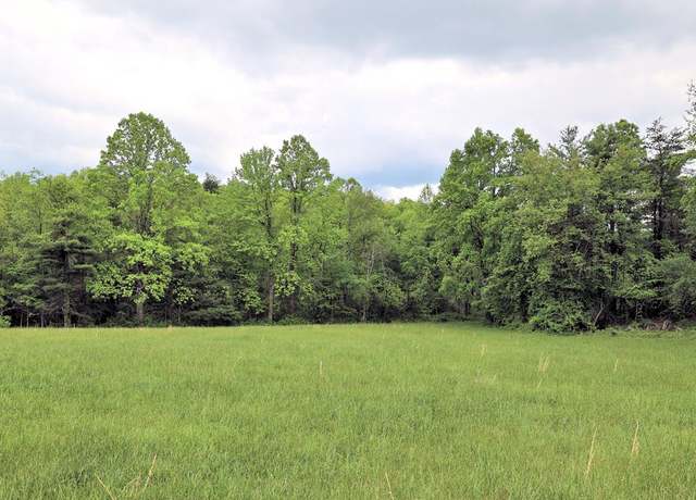 Property at TBD SE Franklin Pike #4, Floyd, VA 24091