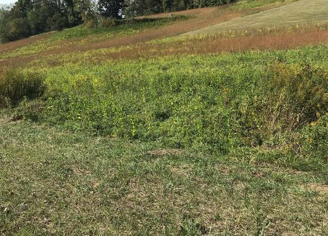 Property at TBD Lot #29 Chestnutwood Dr #29, Chilhowie, VA 24319