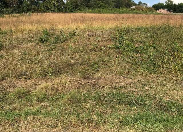 Property at TBD Lot #25 Christin Ln #25, Chilhowie, VA 24319