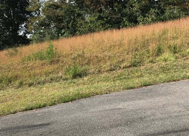 Property at TBD Lot #21 Christin Ln #21, Chilhowie, VA 24319