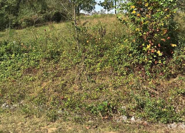 Property at TBD Lot#19 Christin Ln #19, Chilhowie, VA 24319