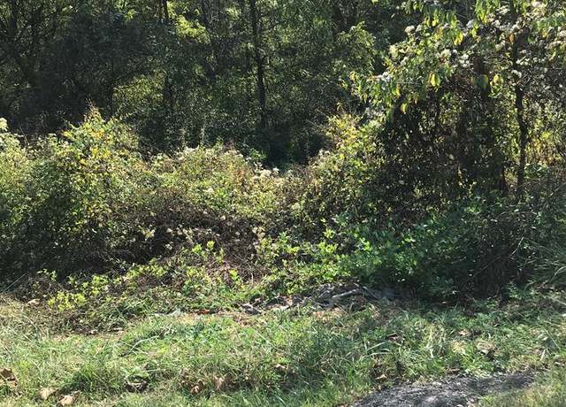 Property at TBD Lot#17 Bryant Dr #17, Chilhowie, VA 24319