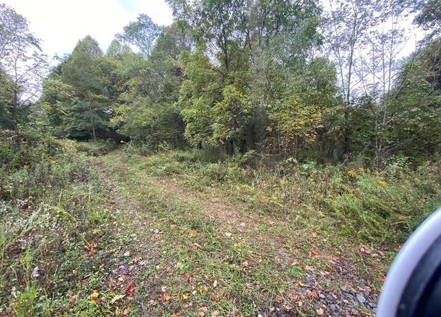 Property at TBD Bandy Rd / Whitaker Ridge Area Unit na, Bandy, VA 24602
