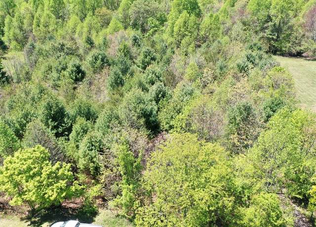 Property at TBD Buckwoods #22, Woodlawn, VA 24381