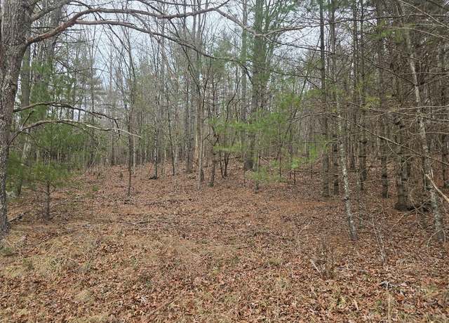 Property at TBD Taylors Chapel Rd #0, Fries, VA 24330