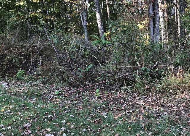 Property at TBD Lot#10 Elem Dr #10, Chilhowie, VA 24319