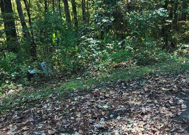 Property at TBD Lot#6 Elem Dr #6, Chilhowie, VA 24319