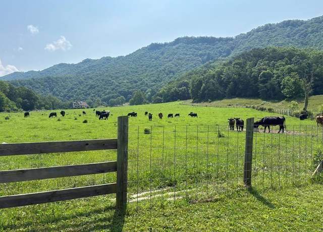 Property at 1125 Laurel Creek Ln, Broadford, VA 24316, 5 beds, 2.5 baths