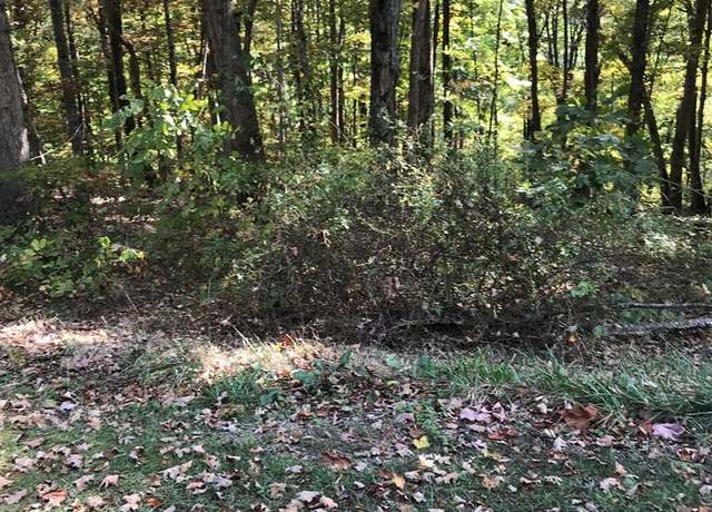 Property at TBD Lot#3 Elem Dr #3, Chilhowie, VA 24319