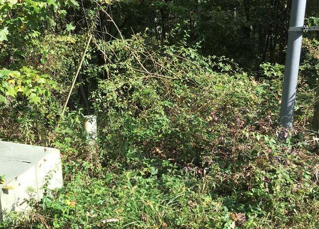 Property at TBD Lot#45 Chestnutwood Dr #45, Chilhowie, VA 24319