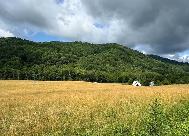 Property at TBD Troutdale Hwy Unit 68-A-4B, Mouth Of Wilson, VA 24363
