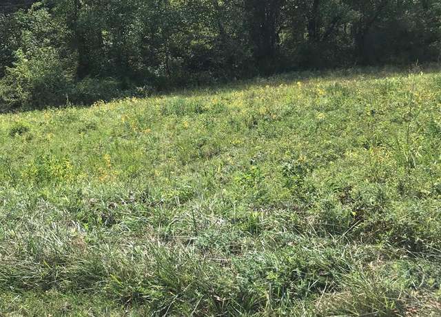 Property at TBD Lot#40 Brooke St #40, Chilhowie, VA 24319