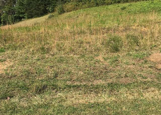 Property at TBD Lot #38 Brooke St #38, Chilhowie, VA 24319
