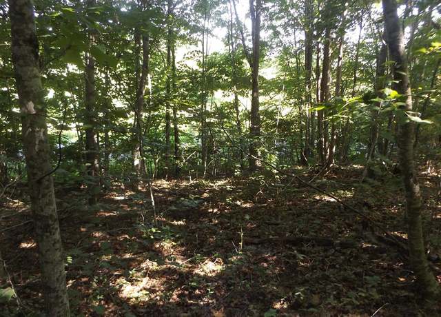 Property at TBD Raindrop Rd #1, Fancy Gap, VA 24328