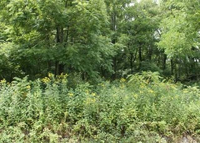 Property at TBD Rickey Rd #42, Max Meadows, VA 24360
