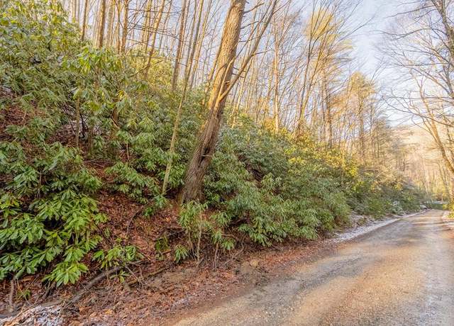 Property at Lot 9 Wyrick Trl #9, Bland, VA 24315
