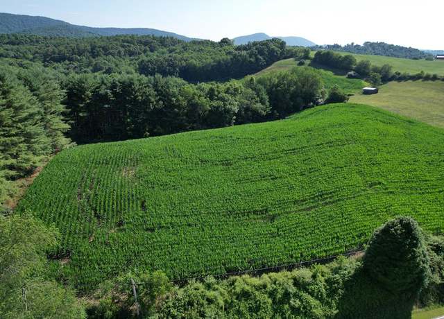 Property at TBDIV Comers Rock Rd Unit n/a, Elk Creek, VA 24326