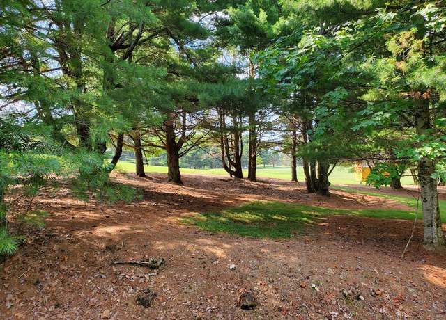 Property at TBD Evergreen Trl #20, Fancy Gap, VA 24328