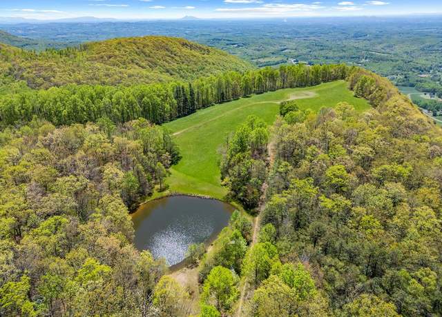 Property at 83 Acres Volunteer Rd Unit See GIS, Fancy Gap, VA 24328