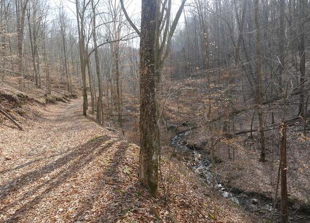 Property at 00 Homer Ln #0, Hiltons, VA 24258