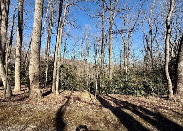Property at TBD Crooked White Oak Trl #16, Hillsville, VA 24343
