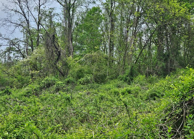Property at 00 Euclid Ave Unit 19-22, Marion, VA 24354