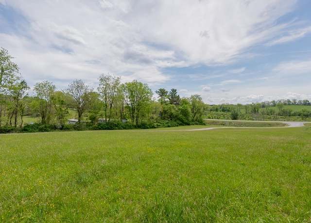 Property at TBD E East Lee Hwy #0, Max Meadows, VA 24360