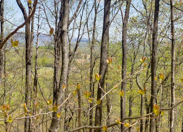 Property at TBD Yellow Locust Dr Unit 196A, Fancy Gap, VA 24328