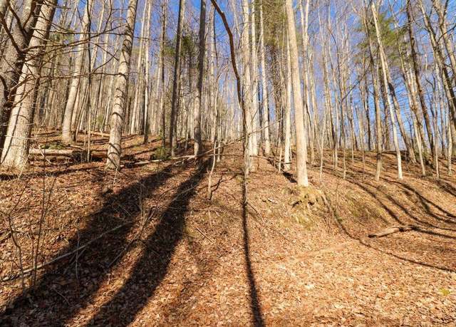 Property at T6 & T 7 North Ledge Trl Unit T6 & T7, Fancy Gap, VA 24328